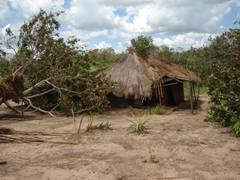 Cyclone's destruction in Mozambique